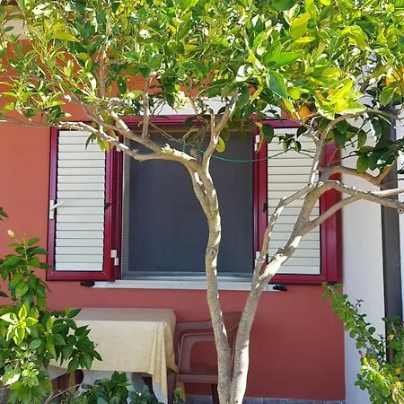 San Carlo - Terrazzo Sul Mare Con Ristorante E Pizzeria Zambrone