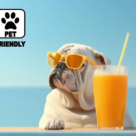 San Carlo Bed & Breakfast 3*