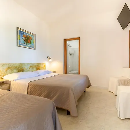 Bed & Breakfast San Carlo - Terrazzo Sul Mare Con Ristorante E Pizzeria Zambrone