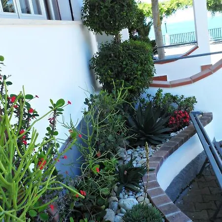 San Carlo - Terrazzo Sul Mare Con Ristorante E Pizzeria 3* Zambrone