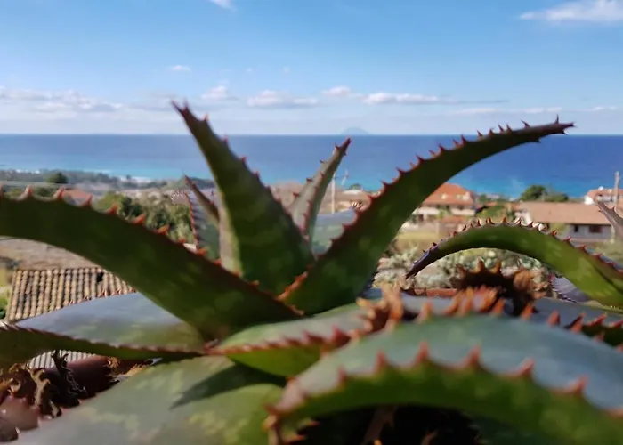 住宿加早餐酒店 San Carlo - Terrazzo Sul Mare Con Ristorante E Pizzeria 赞布隆内